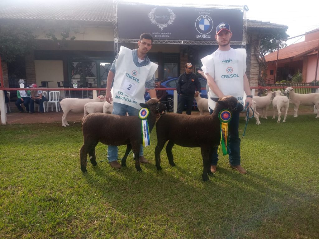 48ª Expoingá - Grande Campeã e Reservada de Grande Campeã Fêmea NC