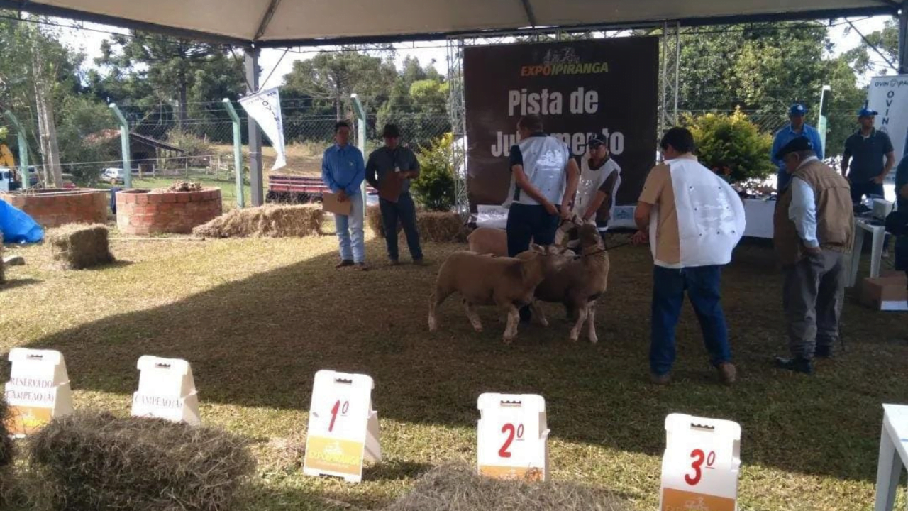 II ExpoIpiranga e V Fenovinos estão com as inscrições abertas