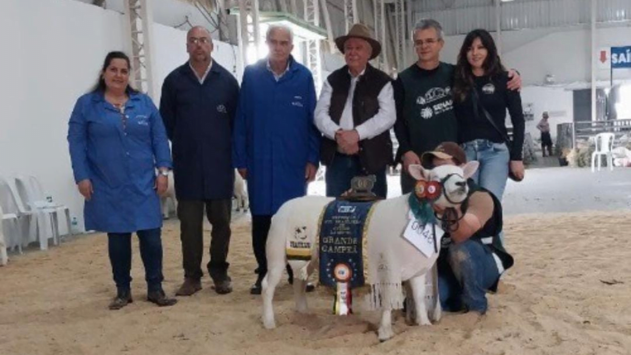 Confira os resultados dos associados da Ovinopar na 2ª Exposição Sul Brasileira de Ovinos e 3ª Exposição Nacional de Ovinos Naturalmente Coloridos