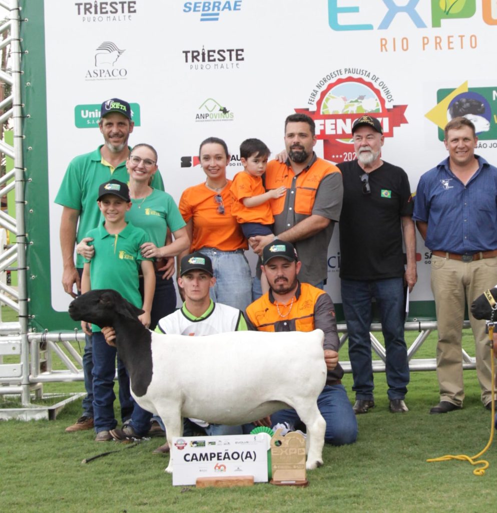 Cordeiro Medalha Campeã Nacional - Dcm Trully Te 632