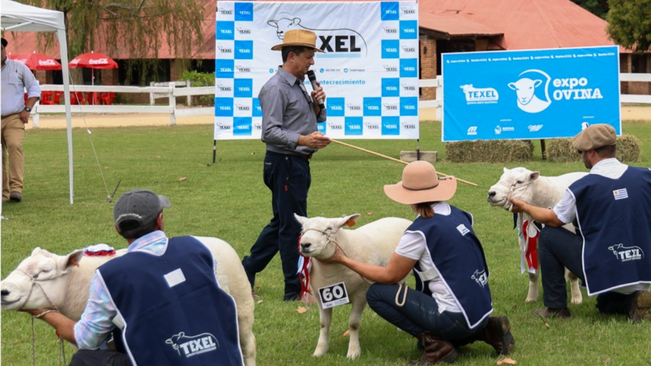 Membro do CDT da Ovinopar é jurado em exposição no Uruguai