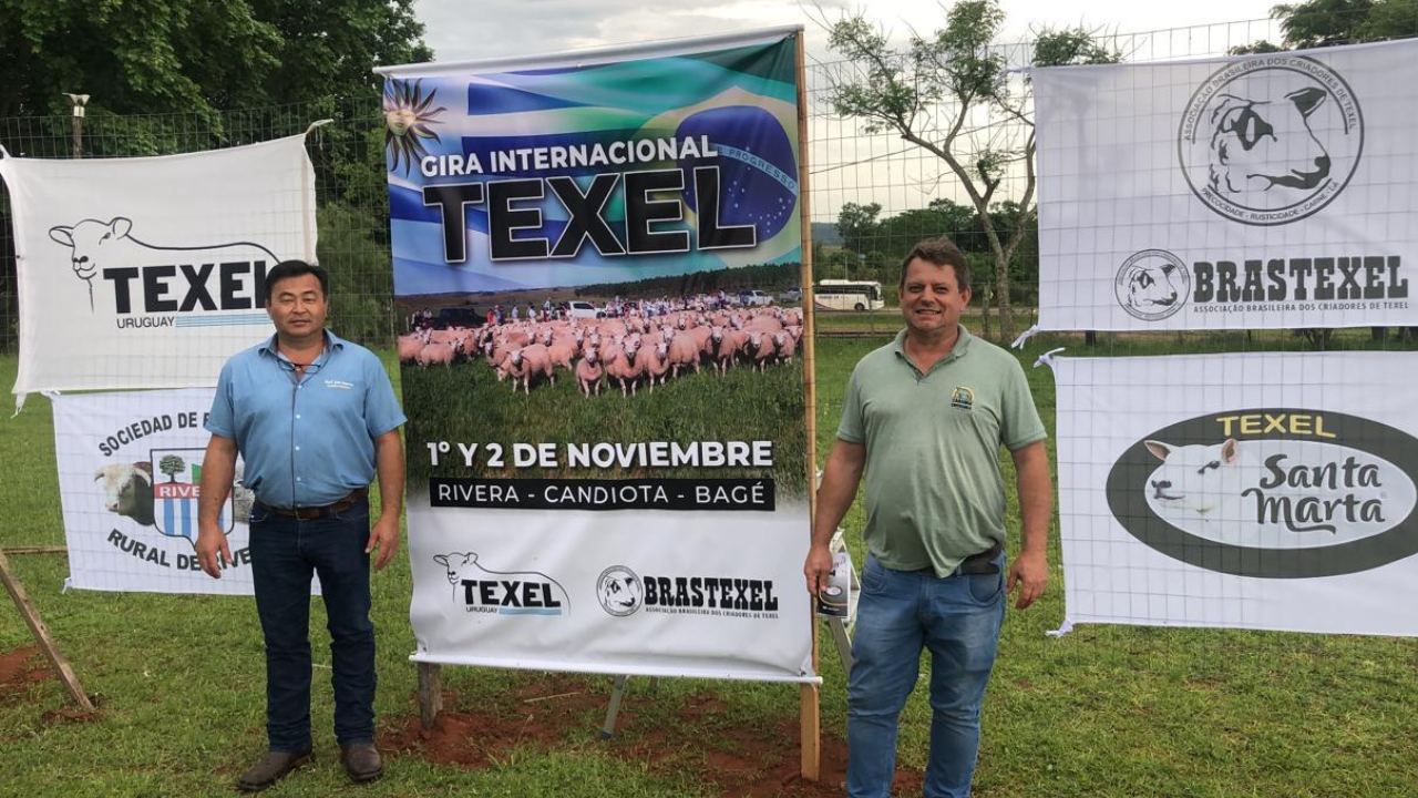 Associados da Ovinopar participam da 1ª Gira Internacional Texel e trocam experiências com criadores do Brasil e Uruguai