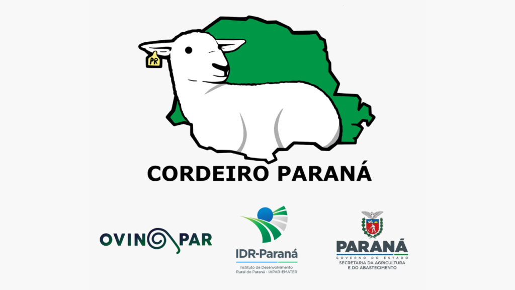 Proposta visa desenvolver a ovinocultura de corte no Estado do Paraná