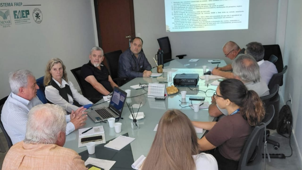 Ovinopar participa de reunião técnica sobre fortalecimento da cadeia de ovinos no Paraná